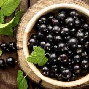 Смородина чорна Смородина чорна